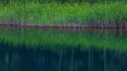 牛池　映り込み　万座温泉