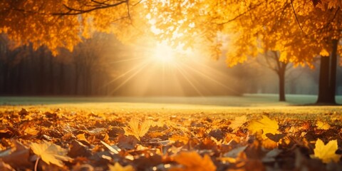 Beautiful Autumn park with yellow leaves and sun. Falling leaves in natural background.