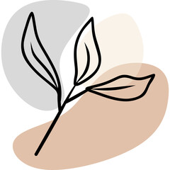 Fototapeta premium Boho Aesthetic Plant