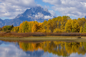 Scenic Landscape Reflection in Grand Teton National Park Wyoming in Autumn