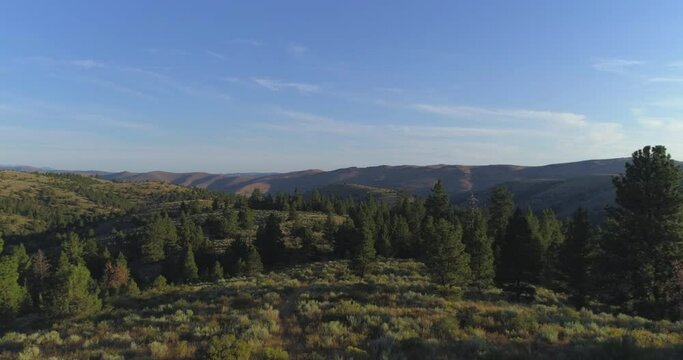 Eastern Oregon moving drone aerial of forests and canyon with high clouds and long shadows