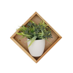 wooden wall hanging of mini artificial plant pot isolated