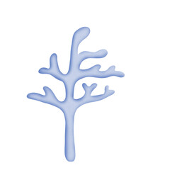 Coral live in the ocean 