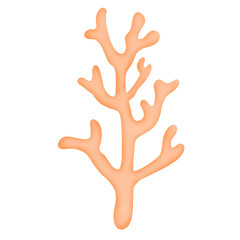 Coral live in the ocean 