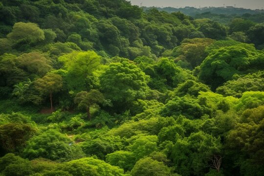 Nature's greenery with green backdrop, emphasizing environment awareness. Generative AI © Fiorella