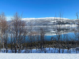 snowy landscape nature in Tromso, Norway