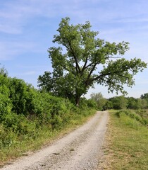 The empty country gravel road on a sunny day.