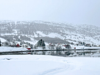 snowy landscape nature in Tromso, Norway