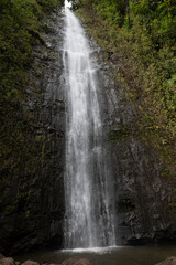 Manoa falls in Honolulu forest reserve