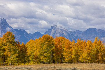 Beautiful Autumn Landscape in Grand Teton National Park Wyoming