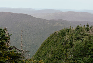 vue sur une pointe au top d'une montagne avec des sapins verts lors d'une journée ennuagée avec smog