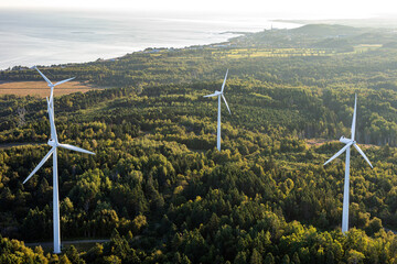 vue en hauteur d'un groupe d'éoliennes dans une forêt au bord du fleuve lors d'un matin ensoleillé - obrazy, fototapety, plakaty
