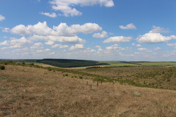 A landscape with a field and blue sky