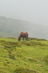 Lac de Soum - Col du Soulor