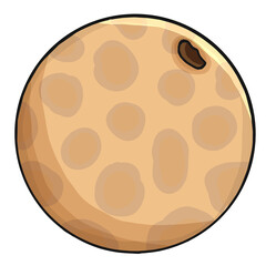 longan. fresh longan isolated graphic cartoon hand drawing