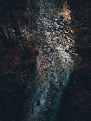 mountains river in the forest