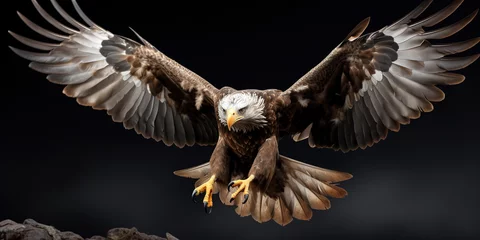 Gordijnen Eagle © Matheus