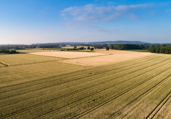 Fototapeta na wymiar Luftbild - Unterschiedliche große Getreidefelder neben einander.