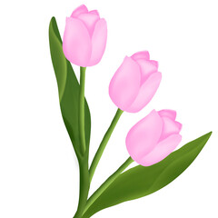 tulip painting into a beautiful bouquet