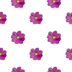 Floral seamless pattern with cosmos flowers. Pink watercolor illustration of buds on a white background. Botanical pattern for fabrics, textiles, wallpapers, scrapbooking.