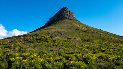 Obraz premium Garden Route Road Trip South Africa