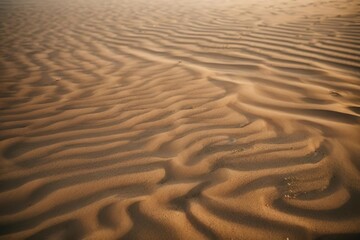 Fototapeta premium sand dunes in the desert