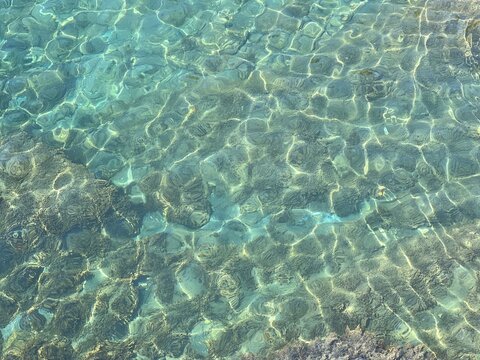 Underwater seabed clear sea water algae at the bottom.