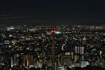 東京の夜景　Night view of Tokyo