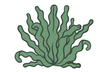 Edible seaweed hand drawn illustration. Spirulina algae leafs isolated on white background.