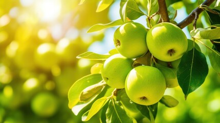 Vibrant green apples on tree branch symbolize growth, freshness, and healthy eating. Outdoor sunny day background with copy space. - Powered by Adobe