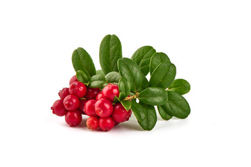 Fresh wild lingonberry berries with leaves, isolated on white background.