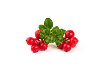 Fresh wild lingonberry berries with leaves, isolated on white background.