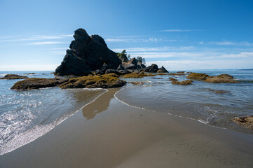 Tide pools and seaweed exposed amidst rocks of Point of Arches on Shi Shi Beach at low tide in...