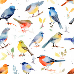 Colorful birds on the white background seamless patterns watercolor texture cute illustration