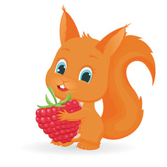 Adorable cartoon squirrel with raspberries.Isolayted illustration on white background.Vector illustration