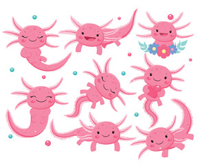 Pink axolotls set.Vector illustration.Isolayted illustration on white background.Cartoon style.