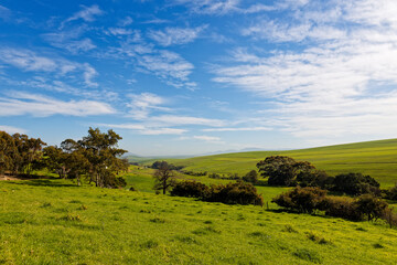 Fototapeta na wymiar A beautiful landscape showing grassland and a scenic dirt road near Caledon