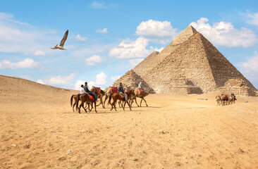 Horse riding in Giza