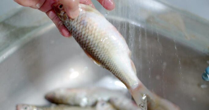 Wash the fish before removing fish scales using knife on sink.A Thailand housewife cooking fish in the kitchen, removing fish scales.Removing fich scale with knife.
