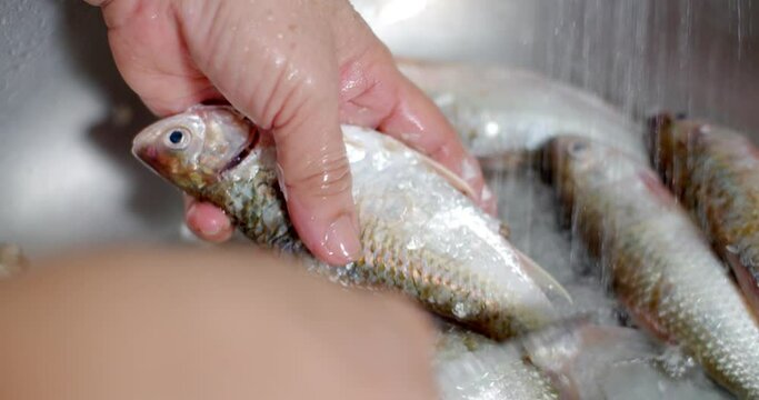 Removing fish scales using knife on sink.A Thailand housewife cooking fish in the kitchen, removing fish scales.Removing fich scale with knife.