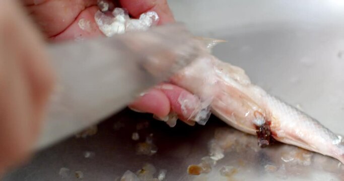 Removing fish scales using knife on sink.A Thailand housewife cooking fish in the kitchen, removing fish scales.Removing fich scale with knife.