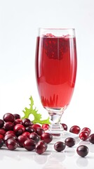 Cranberry Fusion: A Flavorful Journey in a Glass