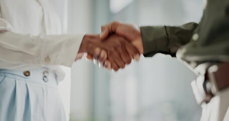 Handshake, business people and agreement or deal for partnership in meeting or interview. Collaboration, teamwork and man shaking hands to welcome, congratulations or thank you for promotion or trust