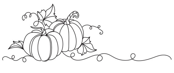 Pumpkin line art style vector illustration