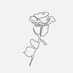 Rose flower hand drawing icon. One line art icon. Decorative silhouette plant. Vector illustration
