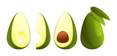 avocado cartoon illustration with green leaves and different shape and angles isolated vector symbols