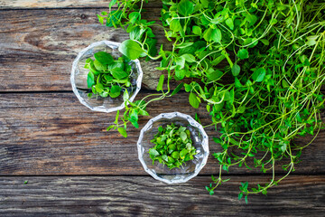 Top-down view of fresh thyme and oregano on wooden table 