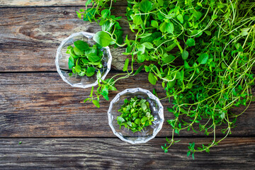Top-down view of fresh thyme and oregano on wooden table 