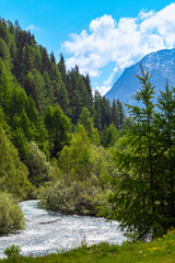 Obraz premium Der Inn-Nebenfluss Susasca in der Nähe vom Flüelapass, Kanton Graubünden (Schweiz) 