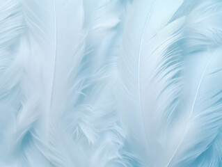 Fototapeta premium Bohemian boho style vintage blue color trends ,Chicken feather texture background